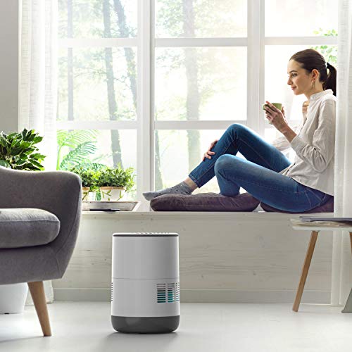 Pure Enrichment® MistAire™ Eva MistFree Evaporative Humidifier (2.8L