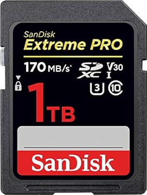 Sandisk 1tb Extreme Pro Sdxc Uhs I Card C10 U3 V30 4k Uhd Sd Card Sdsdxxy 1t00 Gn4in Amazon Sg Electronics