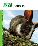 Rabbits (Animal Planet® Pet Care Library) by Sue Fox