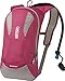 CamelBak 2016 Kicker Hydration Pack, Fuchsia Red