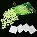 Alllife 200 Pcs Beautiful Starry Sky 3d Glowing in Dark Star Baby Kids Ceiling Wall Room Decor + 4pcs Double-sided Adhesive + Gift Bag