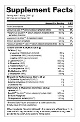 NutraBio Intra Blast Bcaa Powder Amino Acid