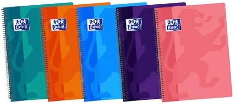 , Cuaderno School Classic, Tapa PP F 80h Cuadrícula 4x4, Colores Surtidos 5