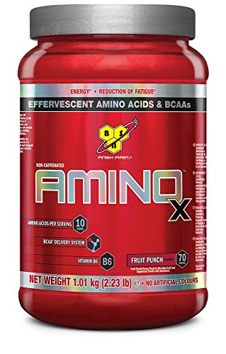 BSN Amino X Fruit Punch -- 2.23 lbs (70 Servings)