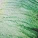 Banana Leaf Bathroom Shower Curtain Green Banana Palm Leaves Shower Curtains with 12 Hooks, Durable Bath Curtain Waterproof Bathroom Curtain