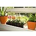 Window Garden Microgreen Tray with Fiber Soil and Spray Bottle - Grow Seeds to Fresh Greens - Growing Microgreens, Wheatgrass, Succulents with Style - Multi-Use Acrylic Planter - 15 x 6 x 2 inches