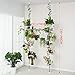 Indoor Plant Storage, FOME Metal Spring Double Pole Stand Corner Flower Display Rack Plant Storage Shelf Hanging Plant Stand Planter Rack Indoor with 12 Trays 2 Hooks 1 Telescopic Rodthumb 3