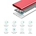 Portable Charger 10000mAh Lightning & Micro-USB Input Power Bank External Battery Pack BENANNA S1 for iPhone X 8 7 6 5 Plus iPad Android Cell Phone Samsung Galaxy Note LG Gopro And More - Red