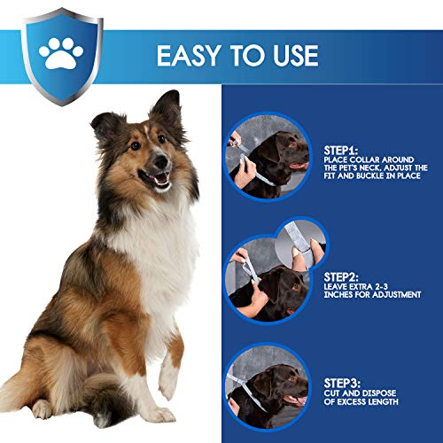 image for GROTAUS Flea and Tick Collar for Dogs - Safe and Effective Flea and Ti
