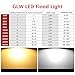 GLW Super Bright 50W Flood Light,Outdoor IP65 Waterproof Security Light,300W Halogen Bulb Equivalent with US 3-Plug,3000K,4500lm,110V Warm White Wall Light