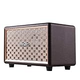 TEWELL Vintage Speakers for Turntable, Bass