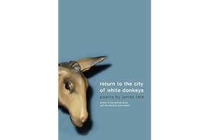 RETURN TO CITY WHI DONKEYS