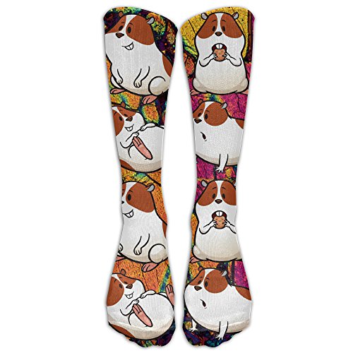 Hamster Socks Kritters in the Mailbox Hamster Sock Gifts