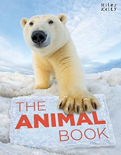 The Animal Book (Books) Hardcover – 1 Jul 2015