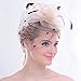 FAYBOX Elegant Silk Flower Feather Dot Net Fascinator Hat Hair Clip BlushPink