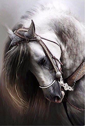 Febling Home Decor Horse 5D DIY Diamond Embroidery Painting Mosaic Cross Stitch Diamond(25x30cm)
