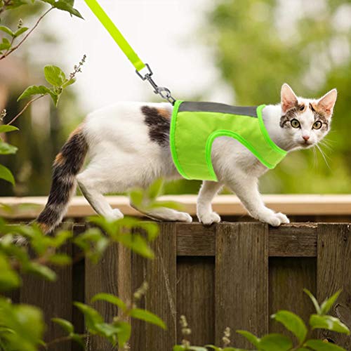 image for EXPAWLORER Reflective Cat Jacket Harness with Leash Set for Walking, S