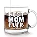 Best Mom Ever Mug - Christmas Mother's Day Gift for Moms from Son Daughter or Kids - Thank You Birthday or Present for Mother In Law Wife Coffee Lovers New Mothers Gifts - 13 Ounce, Glass Coffee Mugs