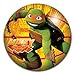 Ninja Turtles 3 Pack Foam Ball Set