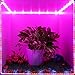 Grow LED Lights,GLIME 5050 SMD LED Plant Lights Grow Lamp with Control Panel 5M Waterproof Flexible Soft Strip with Adapter for Office Home Greenhouse Hydroponics Indoor Plant Flower Seeds Growth US