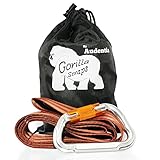 Tree Swing Hanging Strap - Heavy Duty, Water Resistant Polyester Strap + Carabiner - 5ft Long & 2'' Thick - 1200lb+ Weight Capacity - Weather Resistant - Weather Proof- Infographic Instructions.