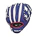 WILSON A0200 Chicago Cubs Baseball Gloves, 10