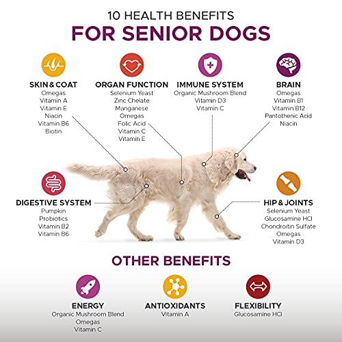 vitamins for aging dogs
