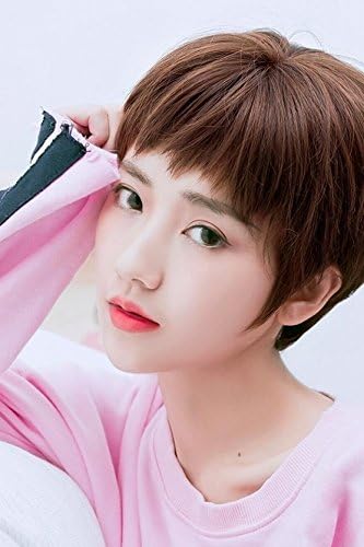 Amazon Co Jp Generic人工ヘアレディースガールズ女性ショートヘアliu Haiヘッドボブ 犬と2番目の要素liu Haiストレート ショートハンサムふわふわkorea ホーム キッチン