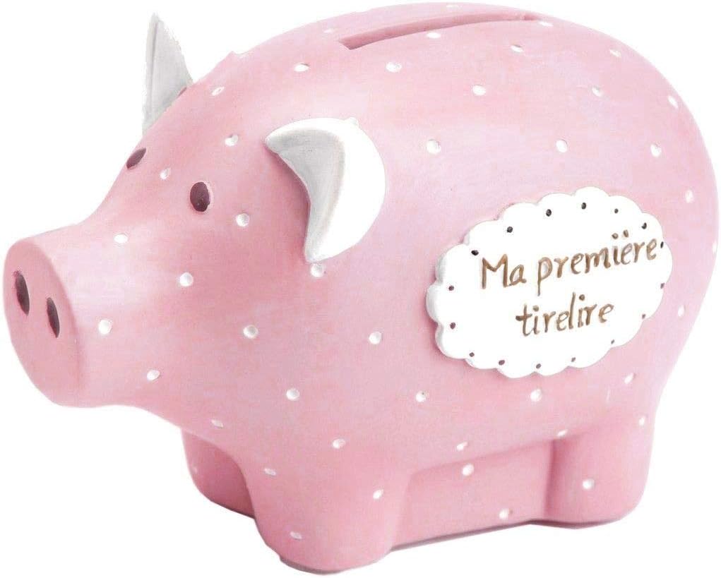 Rose Ma Premiere Tirelire Cochon Ameublement Et Decoration Decoration De La Maison Rodschinson Com