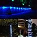 DINOWIN Solar Rope Lights, 39ft/12M 100LED Waterproof Copper Tube Wire String Lights for Garden,Yard, Path, Fence, Stairs, Backyard, Patio Decorative (Blue)