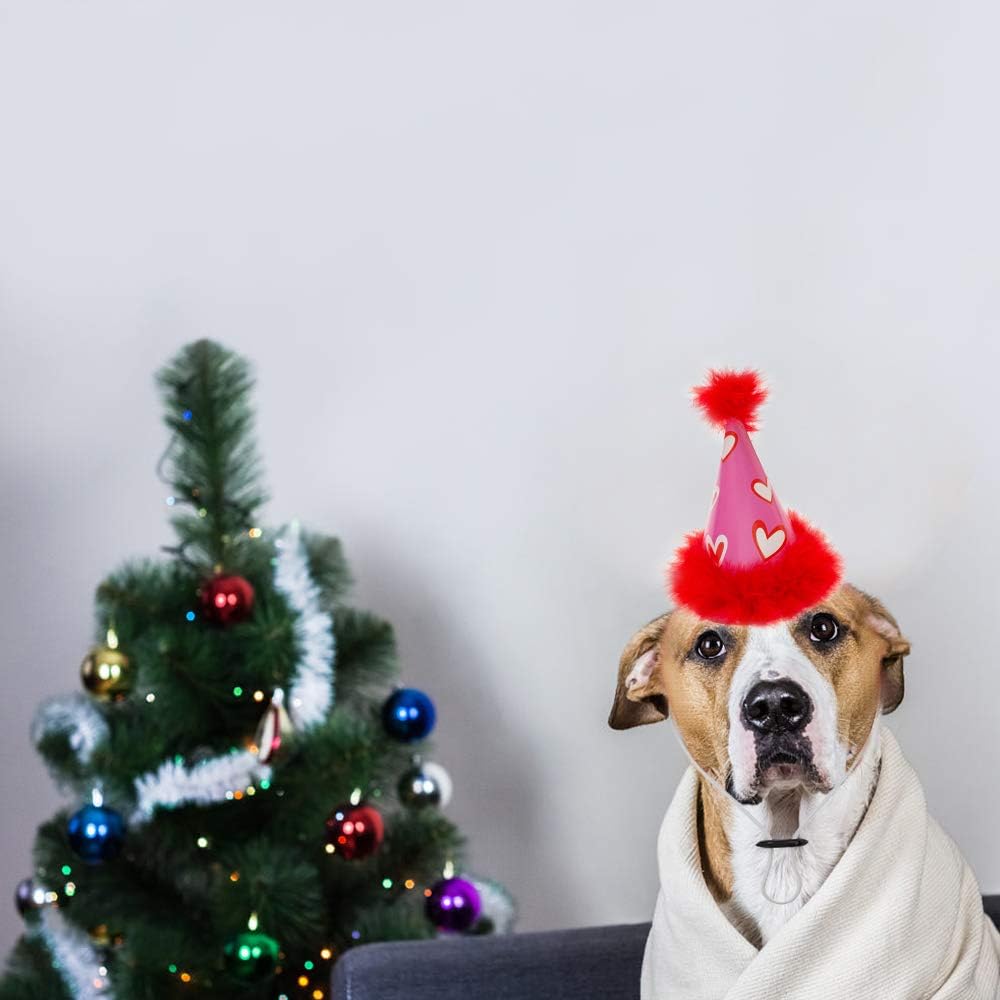SCENEREAL Dog Party Hat 6 Packs - Cute Cone Hats Set for Dogs Birthday Parties Soft Plush Colorful Caps Perfect Doggie Party Supplies : Pet Supplies