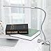 10W LED Clip on Light, Desk Lamps with 3 Modes & 2M USB Cable 10 Levels Dimmer Clamp Lamp (Silver)
