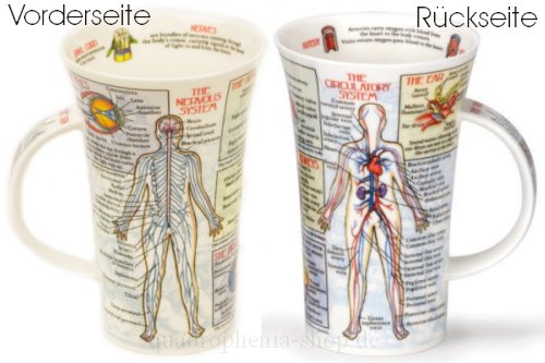 Dunoon Glencoe Fine China Educational BODYWORKS Mug Cup 500ml 16.9 fl oz