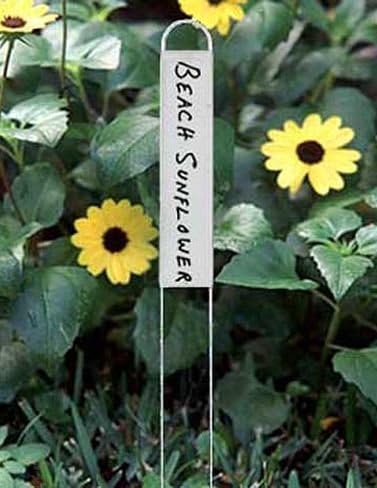 Vertical Markers, Set of 25