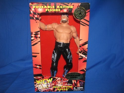 Hulk Hollywood Hogan 12