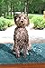 Dog Gone Smart Dirty Dog Doormat - Fast Drying Rug with Super Gripper Backing for Clean Floors - Super Absorbent and Machine Washable Mat for Muddy Paws - Pacific Blue