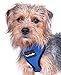Comfort Control Dog Walking Harness, Support Mesh Padded Vest, Accessory, Collar, Lightweight, No More Pulling, Tugging or Choking, for Puppies, Small Dogs (Blue, Medium), by Downtown Pet Supply