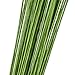 eBoot Floral Stem Wire 18 Gauge Wire 14 Inch, 50 Pack (Green)