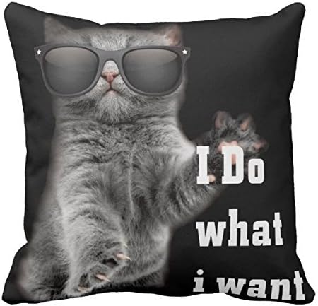Kissenday 18x18 Inch I Do What I Want Funny Cat With Glasses Cotton Polyester Decorative Home Decor Sofa Couch Desk Chair Bedroom Car Neutral Kitty Lover Christmas Birthday Square Throw Pillow Case