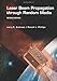 Laser Beam Propagation through Random Media, Second Edition (SPIE Press Monograph Vol. PM152)