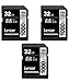 Lexar 32GB Professional 1000x SDHC Class 10 UHS-II Memory Card 3-Pack Bundle
