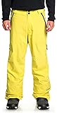 DC Nomad Snowboard Pants Mens