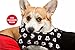 Disney Classic Mickey Mouse Rectangular Cuddler Pet Bed with Pillow Cushion Insert in Red, Machine Washable, 24 x 22/One Size, Model:DIS-RCT-MBH-RDH-2422