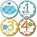 Premium Baby Monthly Stickers By Tiny Stars, 14 PC Pack of 4