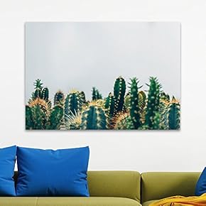 Spikey Cactus Gray Background - Canvas Art