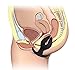 SM Penis Cock Rings - Namee Waterproof Ultra soft Silicone Penis Ring Clitoral Stimulate Prostate Anal Sex Toys for Men Women Couple