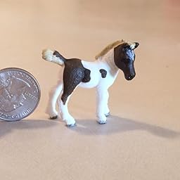 schleich falabella foal
