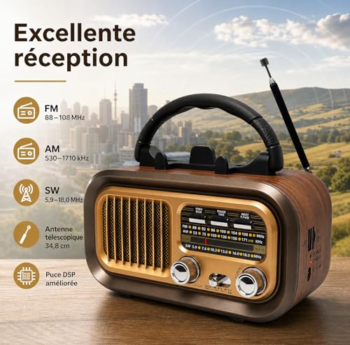 Portable Bluetooth AM/FM/SW Radio 1200mAh Rechargeable Vintage Radio with USB/TF Card/TWS, D Battery Operated Radio for Home, Garden, Camping and Elderly