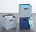 DII Collapsible Hard Sided Bin, Waves, Blue, Small