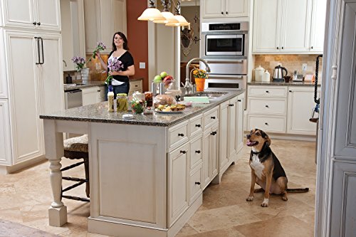 PetSafe Pawz Away Pet Barriers with Adjustable Range, Pet Proofing for Cats and Dogs, Static Stimulation